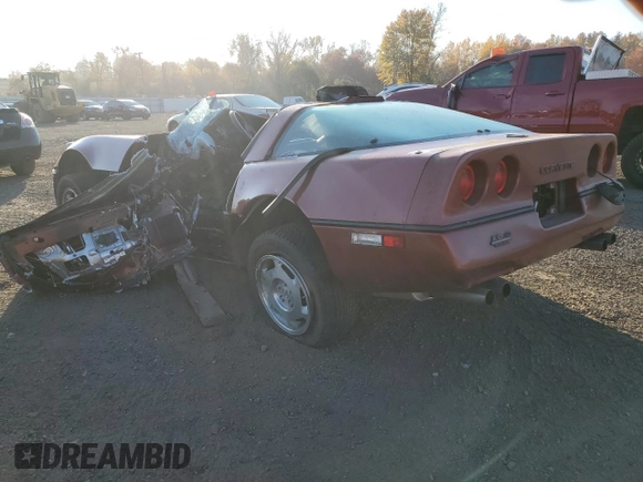 1988 Chevrolet Corvette z VIN 1G1YY2184J5119291, wystawiony jako Copart lot #77069494 z przebiegiem Nie podano mil oraz Szkoda całkowita • Salvage title. Historia ofert i sprzedaży dostępna na DreamBid. Obrazek 2.
