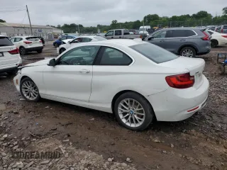 2016 BMW 2 Series 228i xDrive with VIN WBA1G9C53GV599188, listed as a Copart auction lot 59300385 with Not provided miles and Salvage title. Bid and sale history available at DreamBid. Image 2.