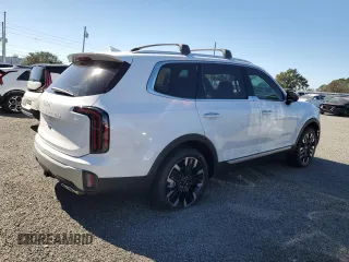 2024 Kia Telluride SX with VIN 5XYP54GC0RG552256, listed as a Copart auction lot 81033874 with Not provided miles and Salvage title. Bid and sale history available at DreamBid. Image 3.