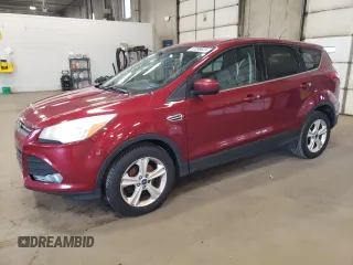 2016 Ford Escape SE with VIN 1FMCU0GX1GUA70710, listed as a Copart auction lot 52299925 with 205,760 mi miles and Salvage Title. Bid and sale history available at carsss.com. Image 1.