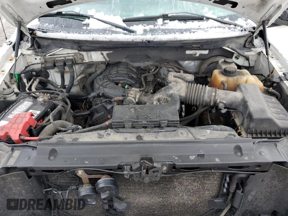 2011 Ford F-150 XL with VIN 1FTMF1CM1BKD05194, listed as a Copart auction lot 46978265 with Not Provided miles and Salvage Title. Bid and sale history available at DreamBid. Image 11.