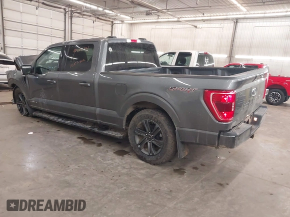 2023 Ford F-150 XL with VIN 1FTFW1ED2PFD03640, listed as a IAAI auction lot 41698031 with 47,004 mi miles. Bid and sale history available at carsss.com. Image 3.