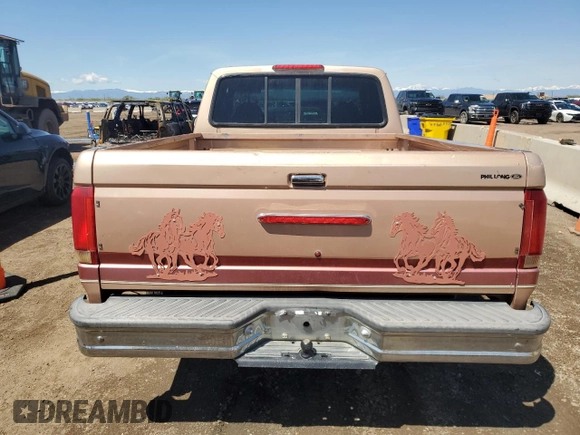 1994 Ford F-150 with VIN 1FTEX15H0RKB38774, listed as a Copart auction lot 55624695 with 259,441 mi miles and Clean title. Bid and sale history available at DreamBid. Image 6.