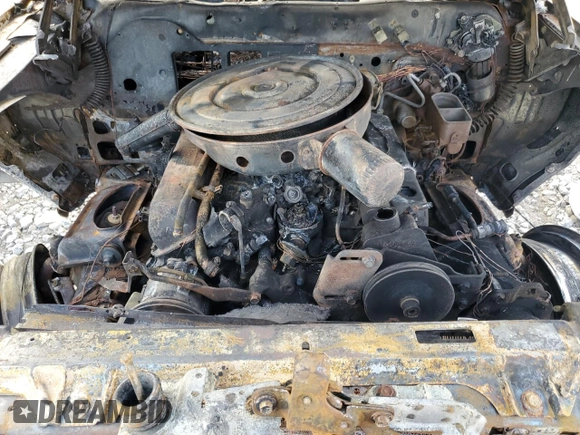 1979 Lincoln Continental with VIN 9Y82S766461, listed as a Copart auction lot 72346644 with Not Provided miles and Salvage Title. Bid and sale history available at DreamBid. Image 11.
