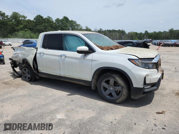 2021 Honda Ridgeline RTL-E with VIN 5FPYK3F71MB021439, listed as a Copart auction lot 67190935 with Not provided miles and Clean title. Bid and sale history available at DreamBid. Image 4.