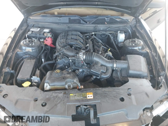 2011 Ford Mustang V6 с VIN 1ZVBP8AM6B5105584, выставлен на аукционе IAAI как лот 42686108 с пробегом 143 296 миль миль и . История ставок и продаж доступна на DreamBid. Изображение 10.
