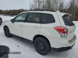 2017 Subaru Forester with VIN JF2SJESC5HH425514, listed as a Copart auction lot 42131605 with 210,217 mi miles and Salvage title. Bid and sale history available at DreamBid. Image 2.