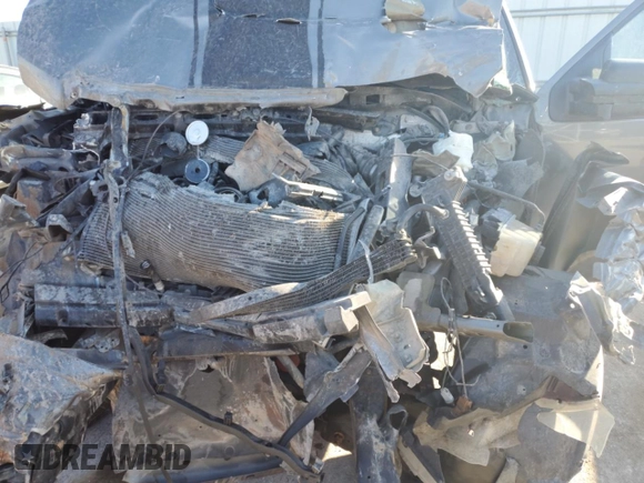 2013 Ford F-150 XL with VIN 1FTMF1EFXDFA91543, listed as a Copart auction lot 77339644 with Not Provided miles and Salvage Title. Bid and sale history available at DreamBid. Image 12.