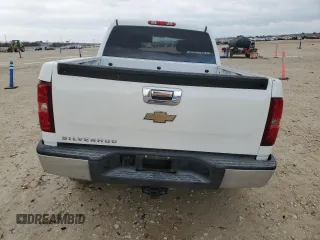 2009 Chevrolet Silverado 1500 LT with VIN 2GCEC23C191139697, listed as a Copart auction lot 88074455 with 243,119 mi miles and Salvage Title. Bid and sale history available at carsss.com. Image 6.