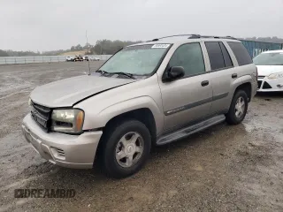2003 Chevrolet TrailBlazer LT with VIN 1GNDS13S132397796, listed as a Copart auction lot 80890484 with 217,294 mi miles and Salvage Title. Bid and sale history available at DreamBid. Image 1.
