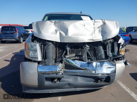 2009 Chevrolet Silverado 1500 LT with VIN 3GCEC23019G120466, listed as a IAAI auction lot 41754684 with 119,330 mi miles. Bid and sale history available at carsss.com. Image 6.