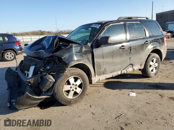 2010 Ford Escape XLS with VIN 1FMCU0C70AKB20439, listed as a Copart auction lot 42294425 with 135,655 mi miles and Clean title. Bid and sale history available at DreamBid. Image 1.