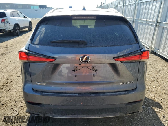 2021 Lexus NX with VIN JTJSARDZ3M2247345, listed as a Copart auction lot 47681545 with 84,882 mi miles and Salvage Title. Bid and sale history available at carsss.com. Image 6.