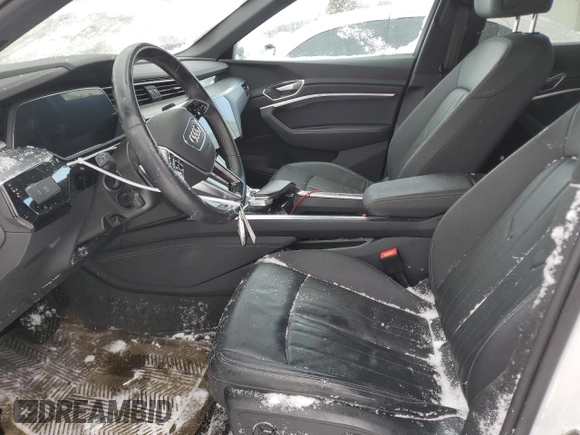 2022 Audi e-tron Premium with VIN WA1AAAGE6NB042543, listed as a Copart auction lot 44607415 with 143,781 mi miles and Salvage Title. Bid and sale history available at carsss.com. Image 7.