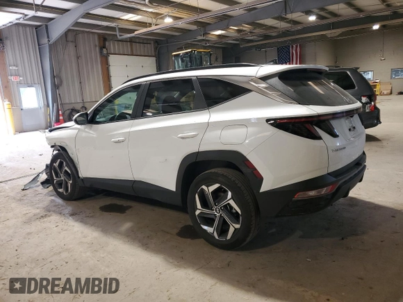 2022 Hyundai Tucson SEL with VIN 5NMJBCAE6NH069874, listed as a Copart auction lot 53128615 with 111,351 mi miles and Salvage Title. Bid and sale history available at carsss.com. Image 2.