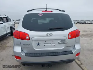 2009 Hyundai Santa Fe GLS with VIN 5NMSG13D49H256499, listed as a IAAI auction lot 41541870 with 265,610 mi miles. Bid and sale history available at carsss.com. Image 16.