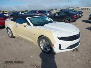 2019 Chevrolet Camaro 1LT with VIN 1G1FB3DS8K0117600, listed as a IAAI auction lot 41174936 with 110,273 mi miles. Bid and sale history available at carsss.com. Image 1.