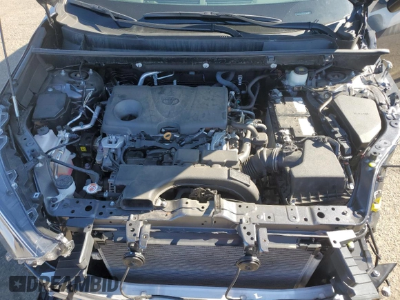 2021 Toyota RAV4 XLE Premium with VIN 2T3A1RFV4MC193667, listed as a Copart auction lot 48061175 with 19,845 mi miles and Salvage title. Bid and sale history available at DreamBid. Image 13.