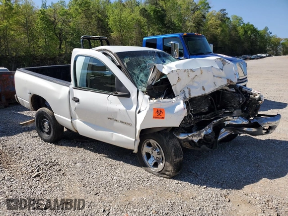 2005 Dodge 1500 ST with VIN 1D7HA16K75J646657, listed as a Copart auction lot 52172895 with Not Provided miles and Salvage Title. Bid and sale history available at carsss.com. Image 4.