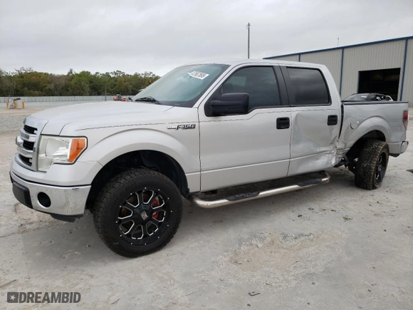 2013 Ford F-150 XL with VIN 1FTEW1CM3DFA47695, listed as a Copart auction lot 47667695 with 164,935 mi miles and Salvage Title. Bid and sale history available at carsss.com. Image 1.