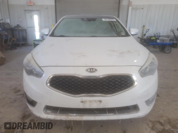 2015 Kia Cadenza Premium with VIN KNALN4D72F5194052, listed as a Copart auction lot 46160655 with 188,667 mi miles and Salvage Title. Bid and sale history available at carsss.com. Image 5.