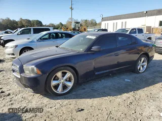 2014 Dodge Charger SXT with VIN 2C3CDXHGXEH202198, listed as a Copart auction lot 76578254 with 172,816 mi miles and Salvage Title. Bid and sale history available at carsss.com. Image 1.