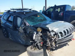 2014 Jeep Cherokee Trailhawk with VIN 1C4PJMBS5EW134900, listed as a IAAI auction lot 41997316 with 96,445 mi miles. Bid and sale history available at carsss.com. Image 1.