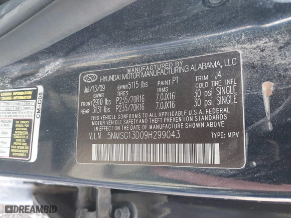 2009 Hyundai Santa Fe GLS with VIN 5NMSG13D09H299043, listed as a IAAI auction lot 41896495 with 208,263 mi miles. Bid and sale history available at carsss.com. Image 9.