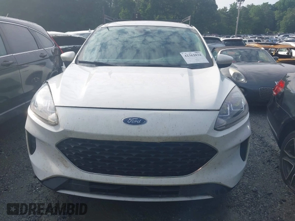 2020 Ford Escape SE с VIN 1FMCU0G62LUB44377, выставлен на аукционе IAAI как лот 42362034 с пробегом 155 491 миль миль и . История ставок и продаж доступна на DreamBid. Изображение 12.
