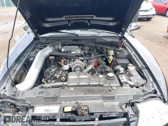 2001 Ford Mustang GT Deluxe with VIN 1FAFP42X01F256120, listed as a IAAI auction lot 42446560 with Not provided miles and . Bid and sale history available at DreamBid. Image 10.