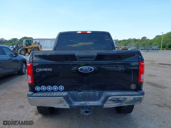 2017 Ford F-150 XL with VIN 1FTEW1EF1HFB91685, listed as a IAAI auction lot 41893084 with 309,583 mi miles. Bid and sale history available at carsss.com. Image 16.