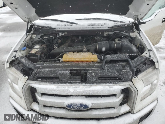 2017 Ford F-150 XL with VIN 1FTEW1EG0HFC21266, listed as a Copart auction lot 46624745 with 141,117 mi miles and Salvage Title. Bid and sale history available at carsss.com. Image 11.
