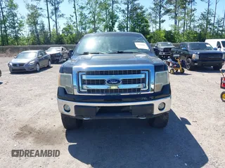 2013 Ford F-150 XL with VIN 1FTFX1EF4DFE09064, listed as a IAAI auction lot 42019665 with 249,430 mi miles. Bid and sale history available at carsss.com. Image 12.