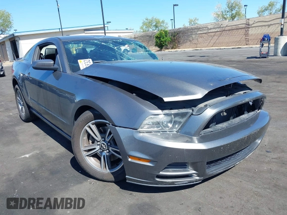 2013 Ford Mustang V6 with VIN 1ZVBP8AM2D5228334, listed as a IAAI auction lot 42164895 with Not provided miles and . Bid and sale history available at DreamBid. Image 1.