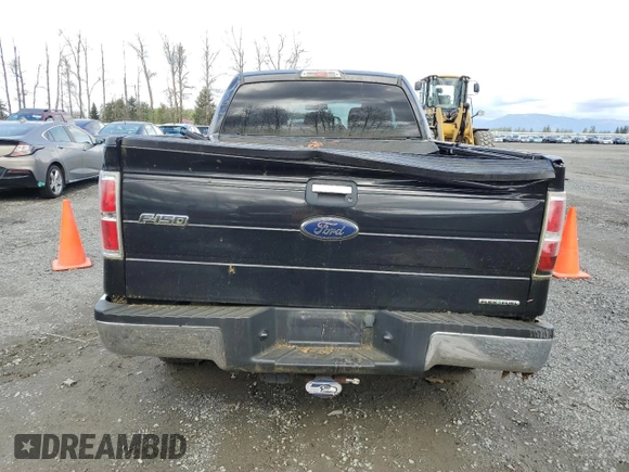 2012 Ford F-150 XL with VIN 1FTFX1EF9CFD02820, listed as a Copart auction lot 51263665 with 204,060 mi miles and Salvage Title. Bid and sale history available at carsss.com. Image 6.