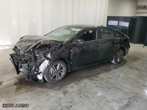 2022 Kia Forte LXS with VIN 3KPF24AD7NE439899, listed as a Copart auction lot 48768785 with 49,288 mi miles and Non Repairable. Bid and sale history available at carsss.com. Image 1.