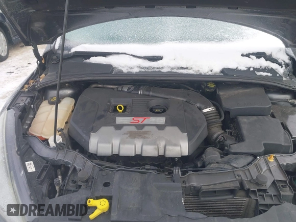 2018 Ford Focus ST with VIN 1FADP3L94JL232292, listed as a IAAI auction lot 41329231 with 114,858 mi miles and . Bid and sale history available at DreamBid. Image 10.