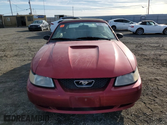 1999 Ford Mustang with VIN 1FAFP4446XF231749, listed as a Copart auction lot 73981604 with Not provided miles and Clean title. Bid and sale history available at DreamBid. Image 5.