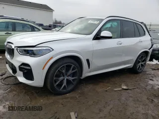 2022 BMW X5 xDrive40i with VIN 5UXCR6C06N9J66154, listed as a Copart auction lot 43100413 with 0 mi miles. Bid and sale history available at carsss.com. Image 1.