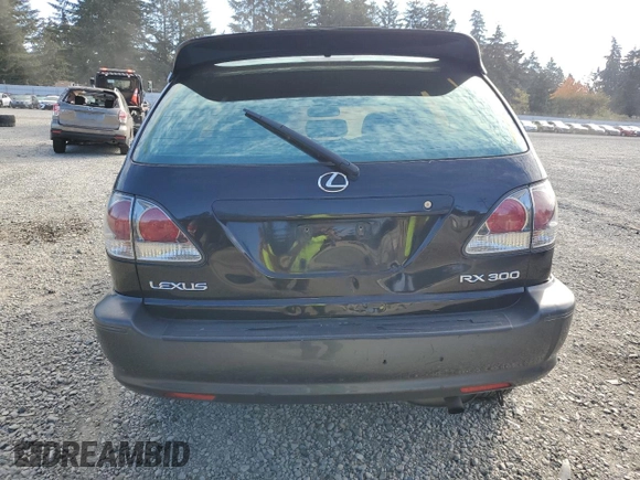 2001 Lexus RX 300 with VIN JTJHF10U510202888, listed as a Copart auction lot 76266464 with 0 mi miles and Salvage Title. Bid and sale history available at carsss.com. Image 6.
