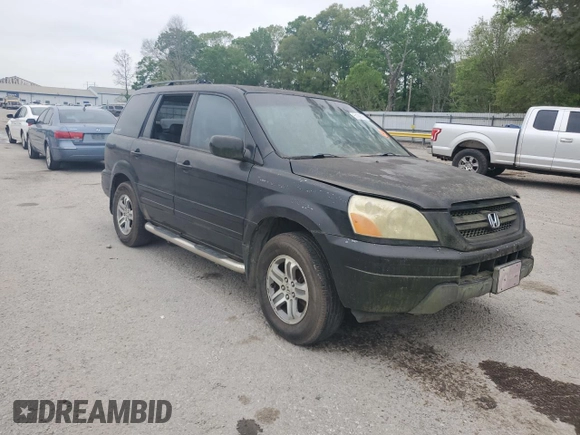 2005 Honda Pilot EX-L with VIN 5FNYF18565B038106, listed as a Copart auction lot 51266305 with 0 mi miles and Clean Title. Bid and sale history available at carsss.com. Image 4.