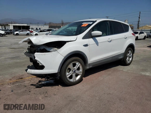 2013 Ford Escape SE with VIN 1FMCU0GX2DUB31767, listed as a Copart auction lot 62208645 with 95,015 mi miles and Salvage title. Bid and sale history available at DreamBid. Image 1.