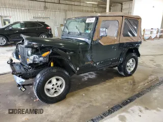1995 Jeep Wrangler with VIN 1J4FY29S3SP232227, listed as a Copart auction lot 78394314 with 142,117 mi miles and Salvage Title. Bid and sale history available at carsss.com. Image 1.
