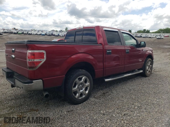 2014 Ford F-150 XL with VIN 1FTFW1CT5EFC49449, listed as a Copart auction lot 53208175 with 151,627 mi miles and Salvage title. Bid and sale history available at DreamBid. Image 3.