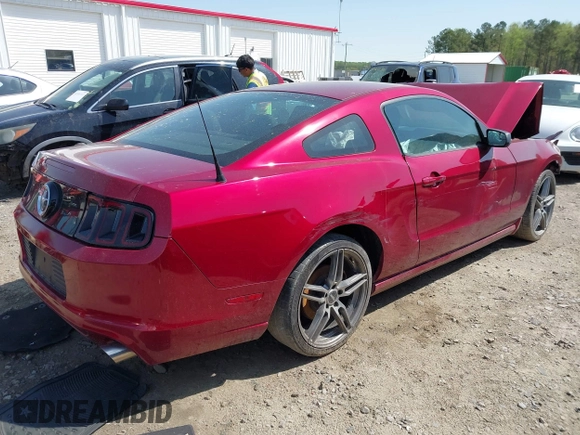 2014 Ford Mustang V6 с VIN 1ZVBP8AM8E5305838, выставлен на аукционе IAAI как лот 41923695 с пробегом 119 831 миль миль и . История ставок и продаж доступна на DreamBid. Изображение 4.