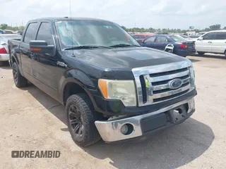 2009 Ford F-150 XL with VIN 1FTRW12819FA40676, listed as a IAAI auction lot 42292855 with Not provided miles and . Bid and sale history available at DreamBid. Image 1.