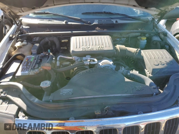 1999 Jeep Grand Cherokee Laredo z VIN 1J4GW58N8XC736438, wystawiony jako Copart lot #88605625 z przebiegiem 181 612 mil mil oraz Czysty tytuł • Clean title. Historia ofert i sprzedaży dostępna na DreamBid. Obrazek 12.
