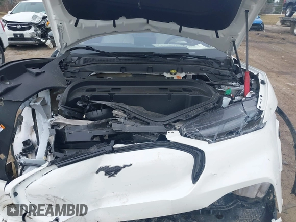 2024 Ford Mustang Mach-E Premium with VIN 3FMTK3SUXRMA26877, listed as a IAAI auction lot 41823734 with 2,738 mi miles and . Bid and sale history available at DreamBid. Image 10.