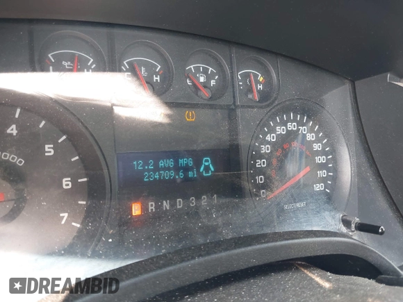 2010 Ford F-150 XL with VIN 1FTEX1E83AFD70461, listed as a IAAI auction lot 42438962 with 234,709 mi miles and . Bid and sale history available at DreamBid. Image 7.