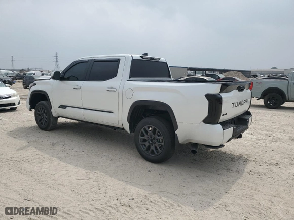 2024 Toyota Tundra 4WD Platinum with VIN 5TFNA5DBXRX232119, listed as a Copart auction lot 49095685 with 8,456 mi miles and Salvage Title. Bid and sale history available at carsss.com. Image 2.